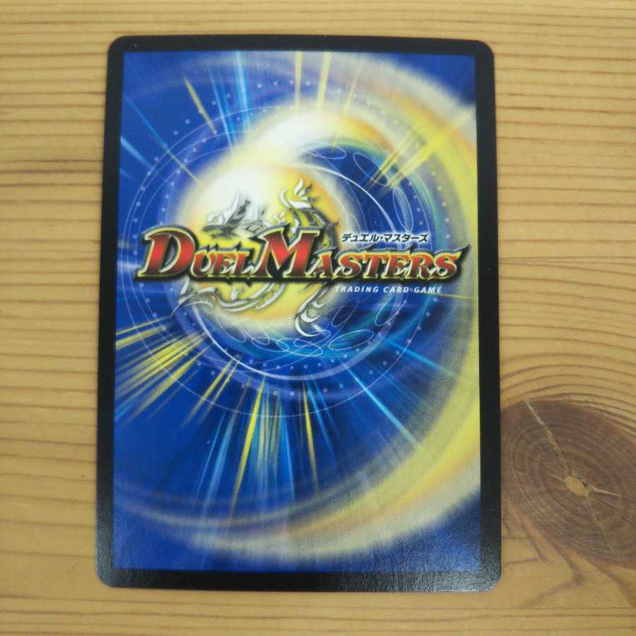 水上第九院 シャコガイル SE