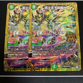 天上天下双極∞