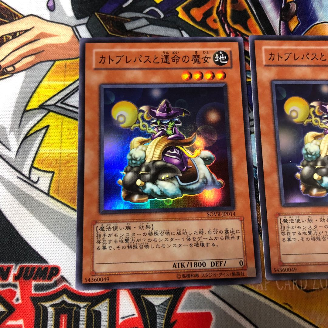 遊戯王　スーパー　カトブレパスと運命の魔女　2枚