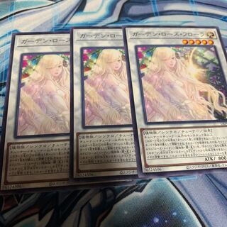 Garden Rose Flora Rare