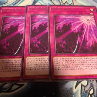 影依の偽典 レア