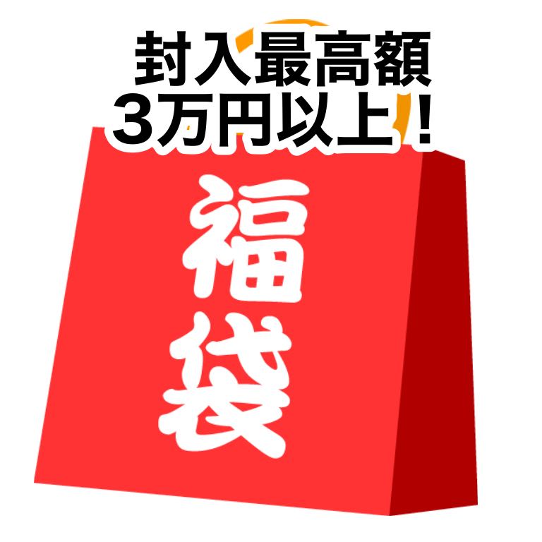 【ポケカ】1点限定アド確定!未開封いろいろ福袋 1枚