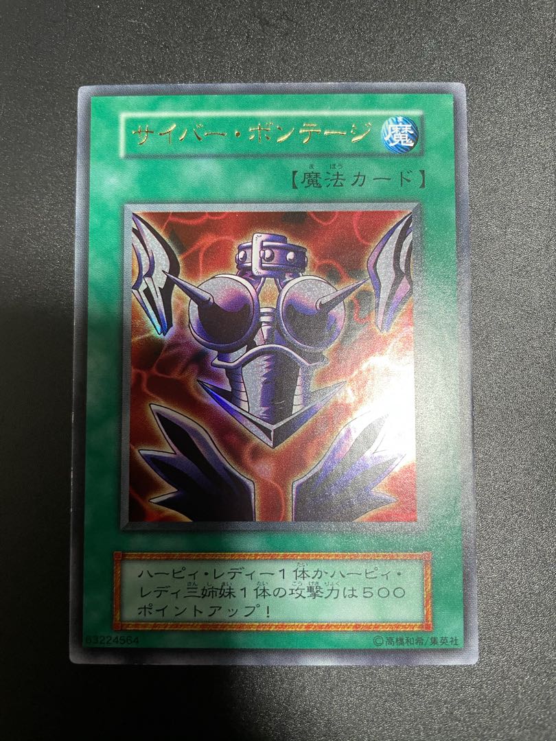 はにじゅん様専用! サイバー・ボンテージ