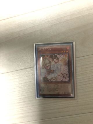 Yu-Gi-Oh Plasma Art Collection Ash Blossom & Joyous Spring