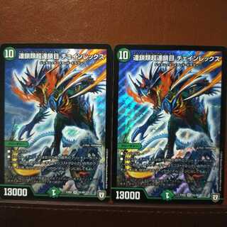 Fst500セット割引　連鎖類超連鎖目 チェインレックス