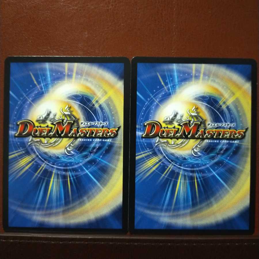 Fst500セット割引　連鎖類超連鎖目 チェインレックス