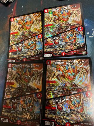 龍爪者“SVN”ムソウ｜二爪流トレーニング