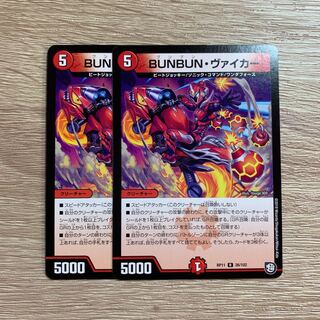 BUNBUN・ヴァイカー 2枚セット