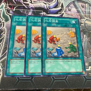 化石調査 ノーマル×3