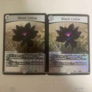 Black Lotus ブラックロータス