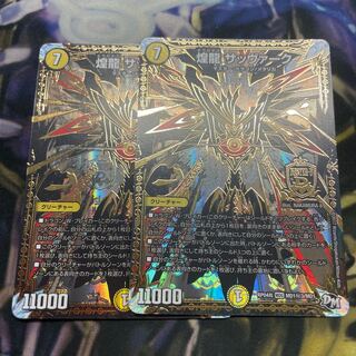 煌龍 サッヴァーク