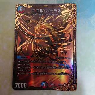 ニコルボーラス