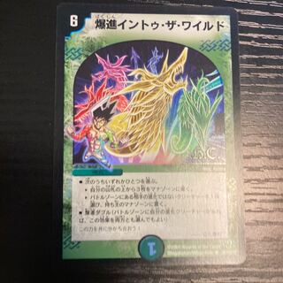 爆進イントゥ・ザ・ワイルド(H.C)