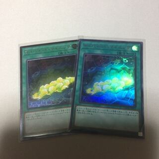 サイバネットマイニング 2枚