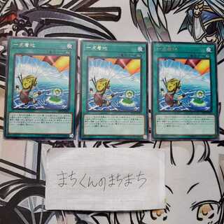 799　一点着地3枚set