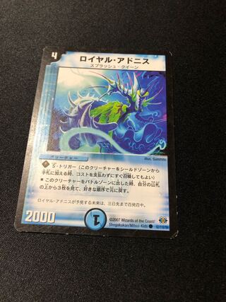 ロイヤル・アドニス