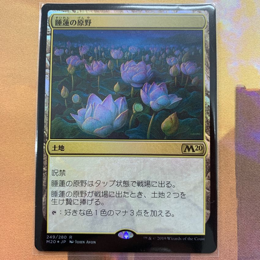 MTG 睡蓮の原野 foil Ｍ20 1枚