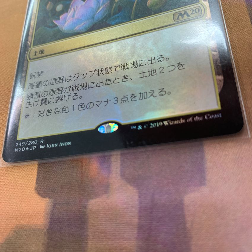MTG 睡蓮の原野 foil Ｍ20 1枚