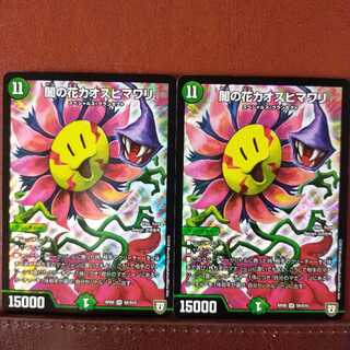 セット割引　闇の花カオスヒマワリ