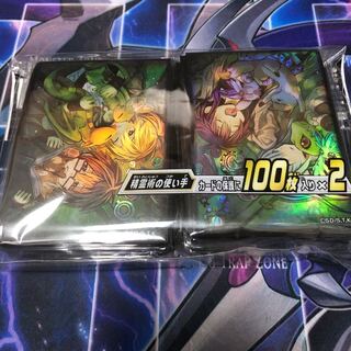 Spirit Charmers Sleeve