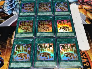 Card of Safe Return 2nd Season Ver Ultra 9-Card Set Terra