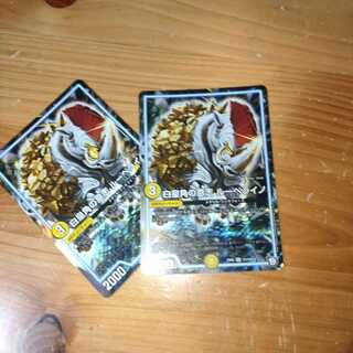 白皇角の意志 ルーベライノ