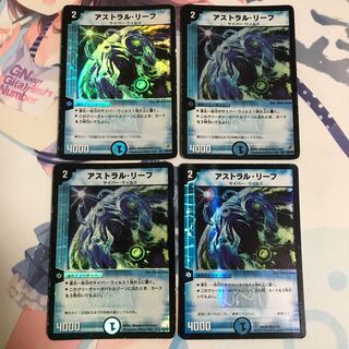 アストラル・リーフ　マリンフラワー付き