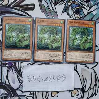 806 Tenwei Ryu - Nahata 3-Piece Set