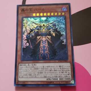 轟の王 ハール スーパーレア