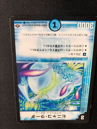 ピニャコ・ラーダ