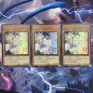 灰流うらら ウル 3枚 3枚