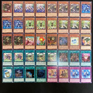 アロマデッキ　本格構築　遊戯王No.105 ジャスミン　マジョラム