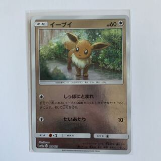 イーブイ(キラ)
