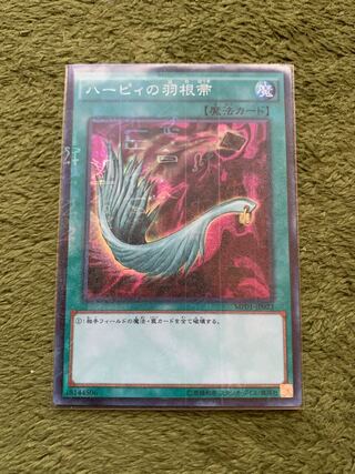 ハーピィの羽根帚 ミレニアム