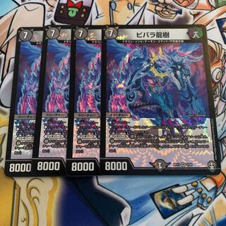 ビバラ龍樹　4枚