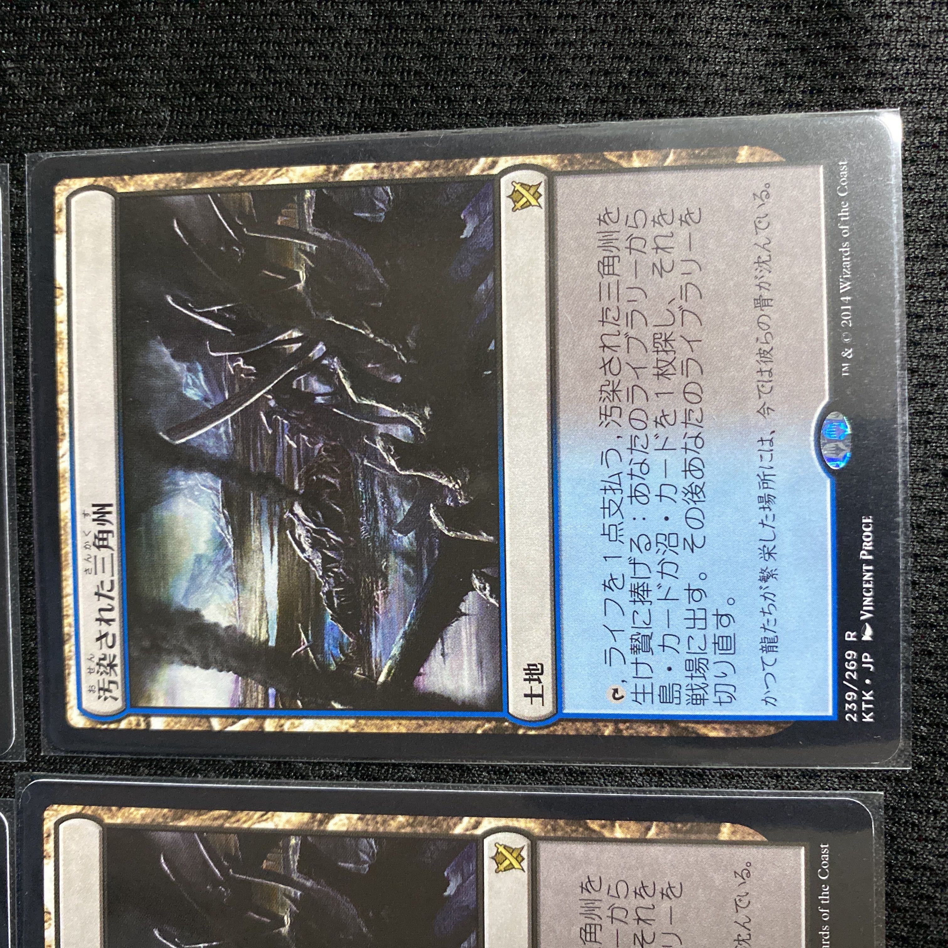 汚染された三角州/Polluted Delta 4枚