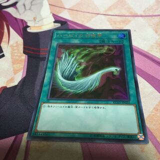 ハーピィの羽根帚 ウルトラレア　レアコレ