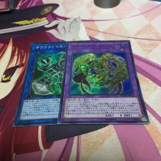 サクリファイス　パーツ