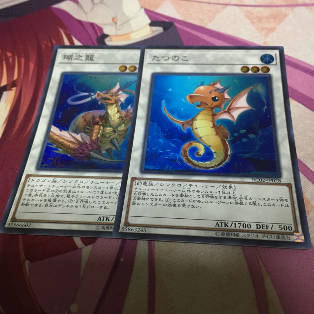 瑚之龍 たつのこ