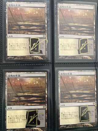 湿地の干潟　日本語　初版　サインド