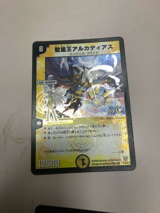 聖霊王アルカディアス