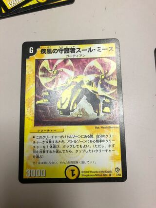 疾風の守護者スール・ミース