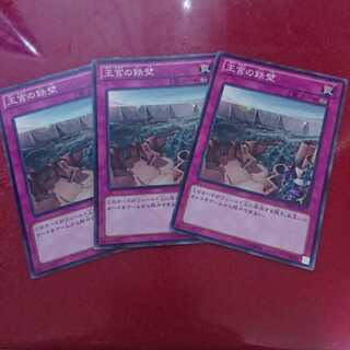 王宮の鉄壁 ノーマル