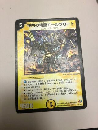 神門の精霊エールフリート