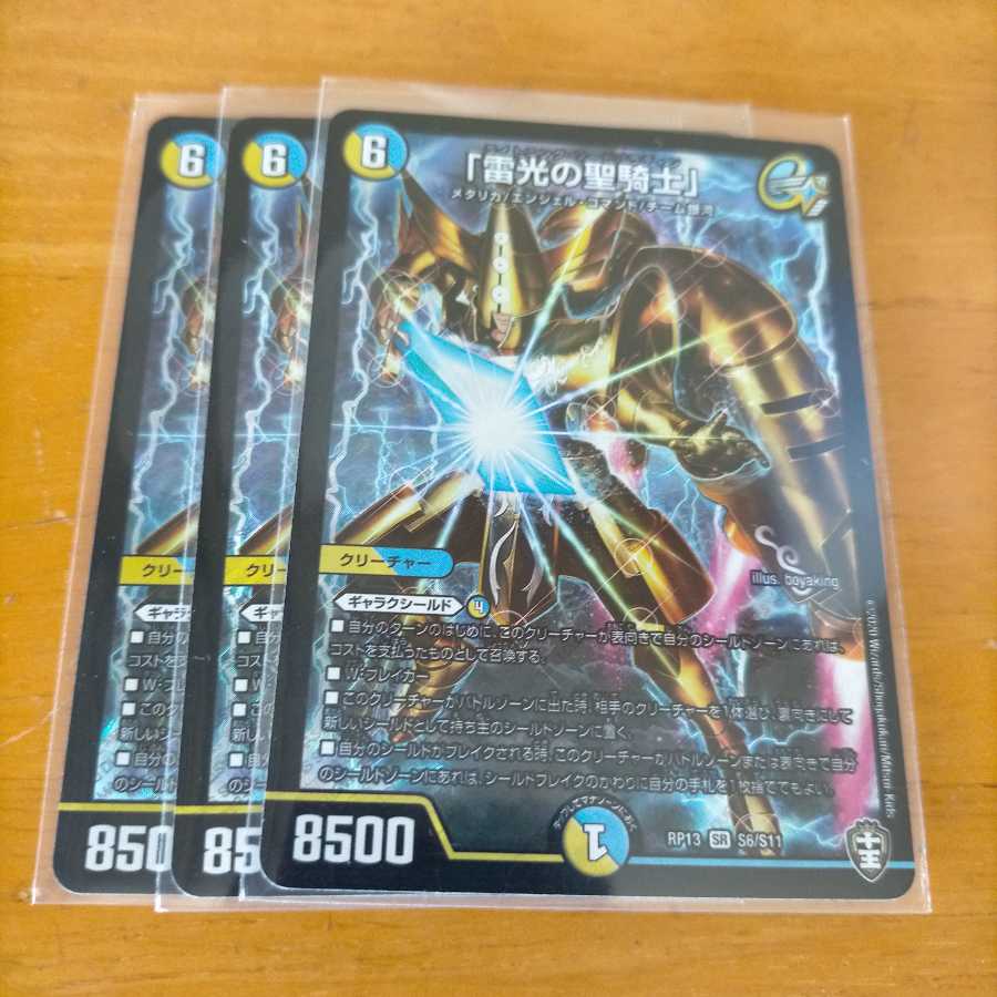 【即日発送】「雷光の聖騎士」