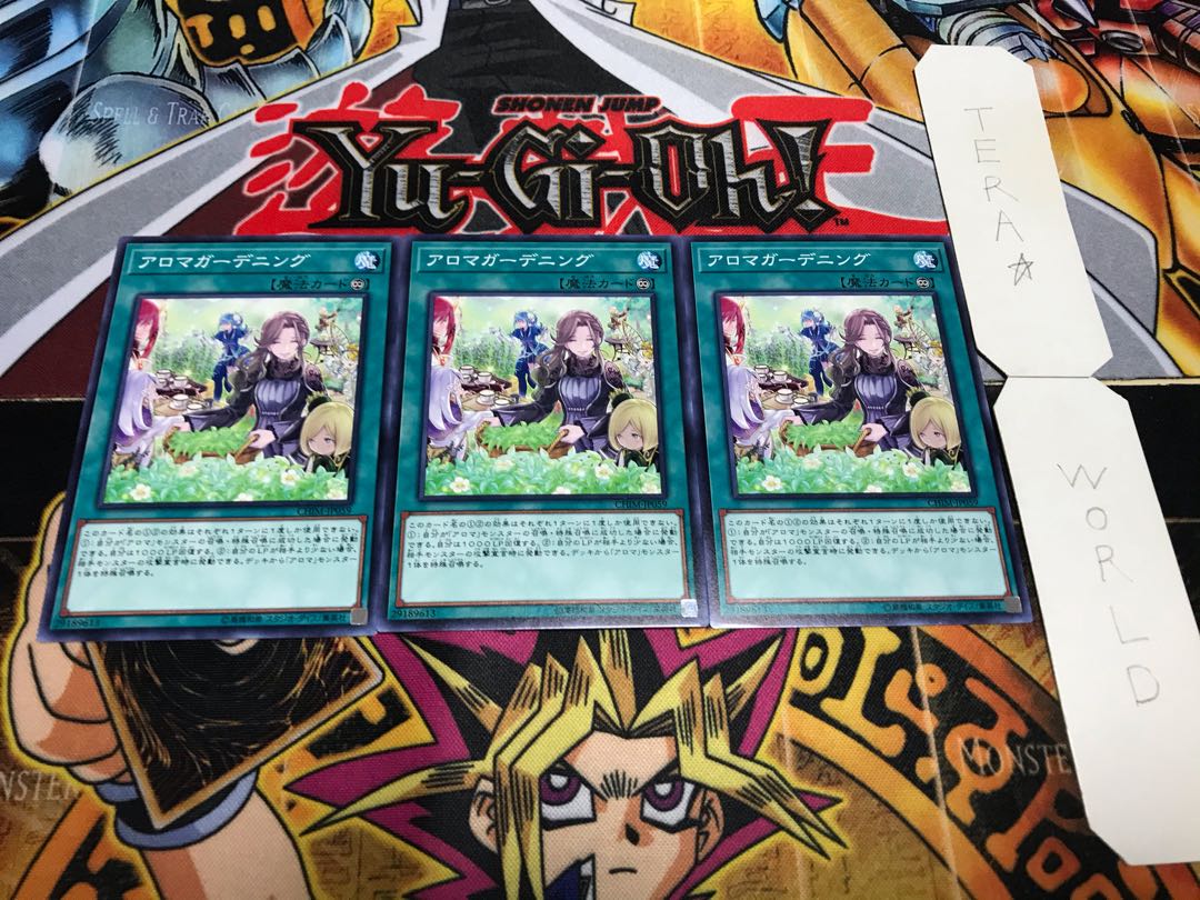 アロマガーデニング ノーマル 3枚セット てら