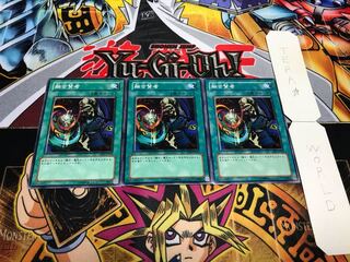 Fusion Sage Normal, set of 3 Tera