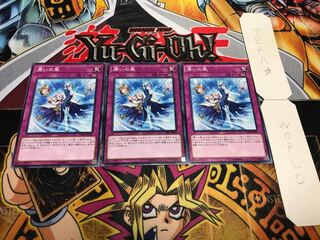 潤いの風 ノーマル 3枚セット てら