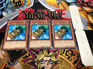 ファイバーポッド ノーマル 3枚セット てら