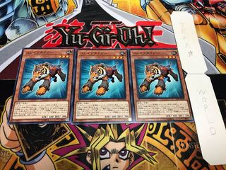 スレイブタイガー ノーマル 3枚セット てら